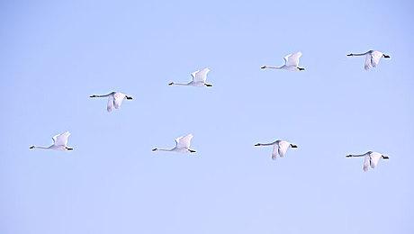 《天国：拯救2》第二个剧情DLC上线 获特别好评